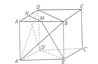 Hình minh họa câu hỏi